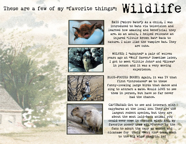 Wildlife