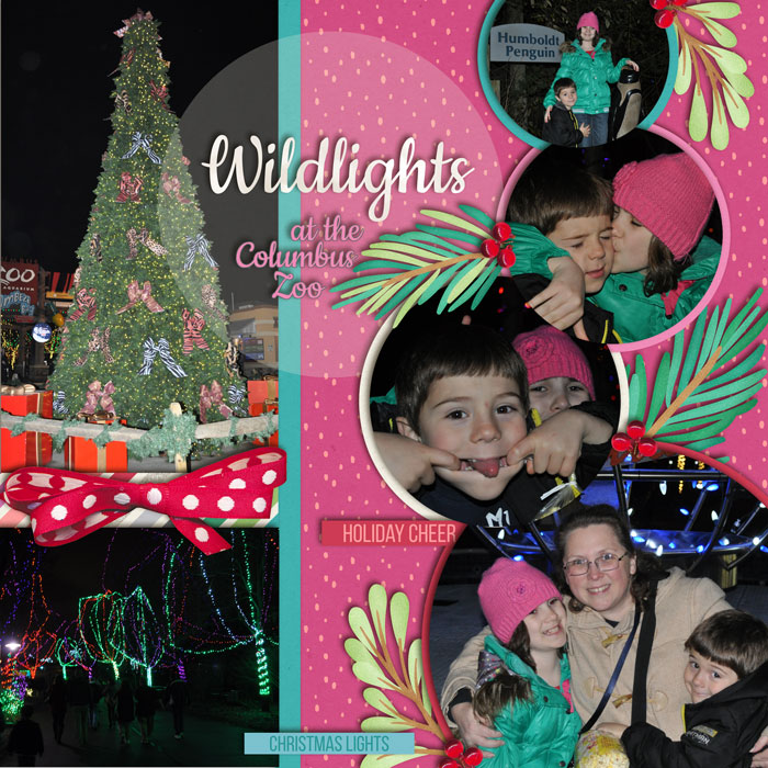 Wildlights at the Zoo