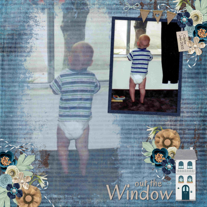 Window