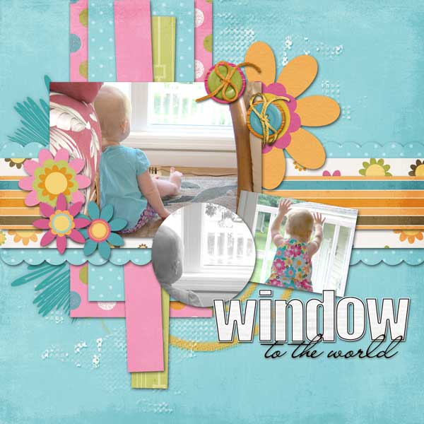 Window