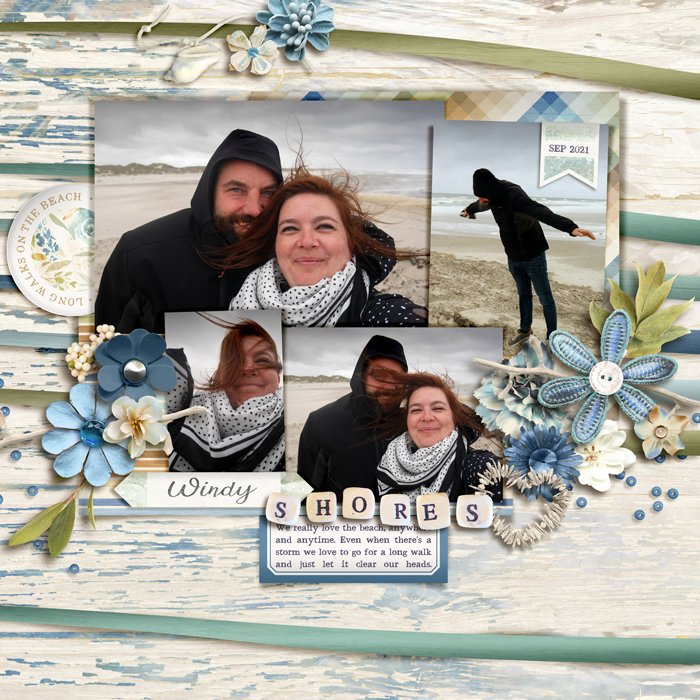 Windy Shores