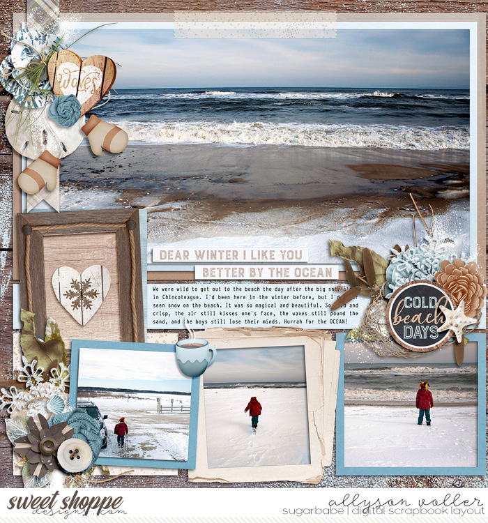 Winter Beach left