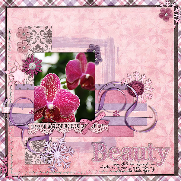 Winter Beauty