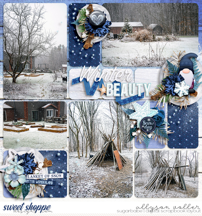 Winter Beauty