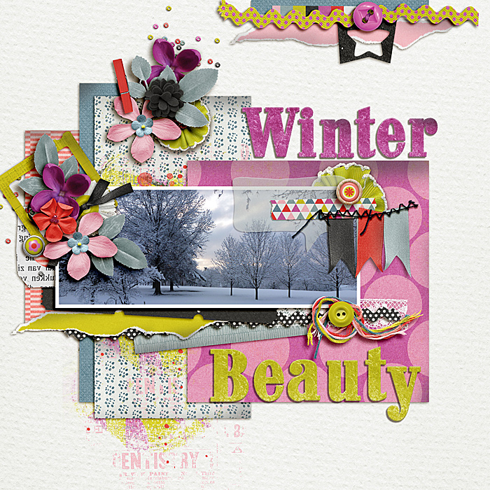 Winter Beauty