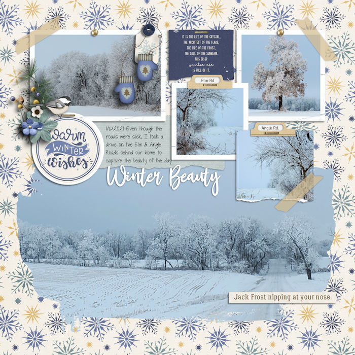 Winter Beauty