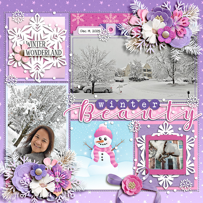 Winter Beauty