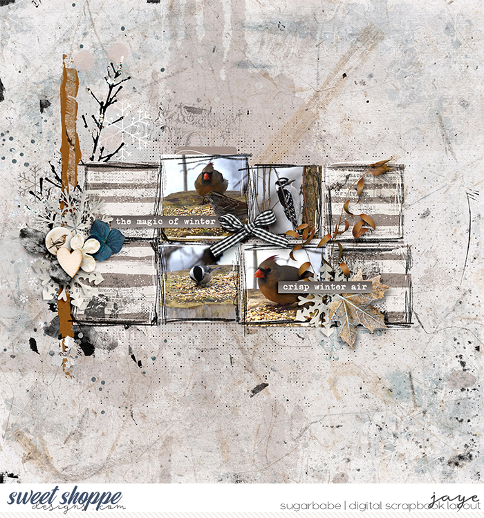 Winter Birds