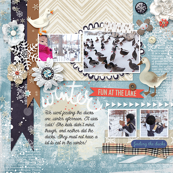 Winter Feeding