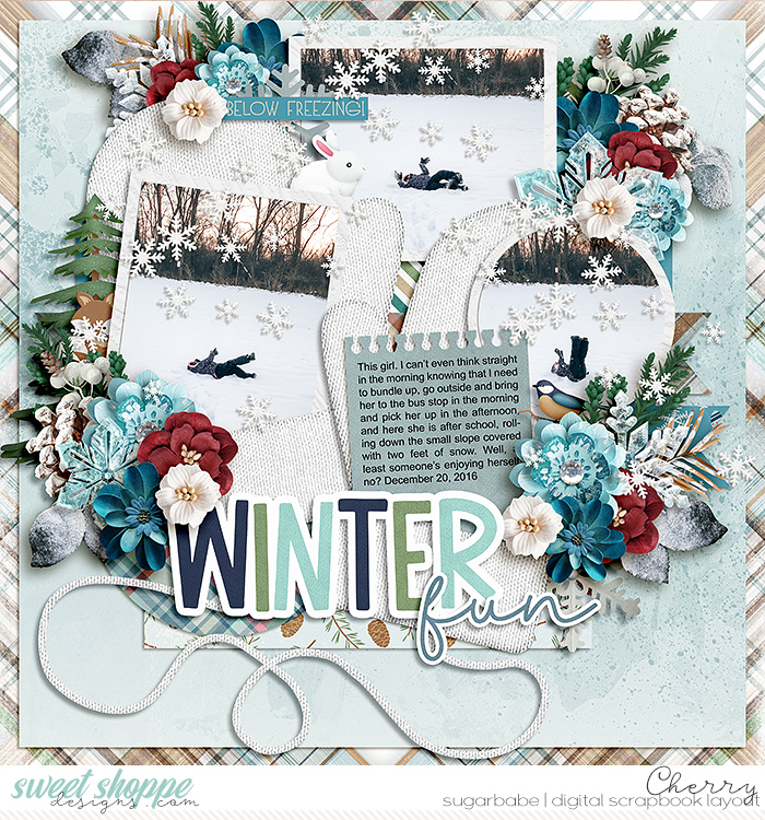 Winter Fun