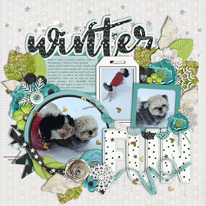 Winter Fun