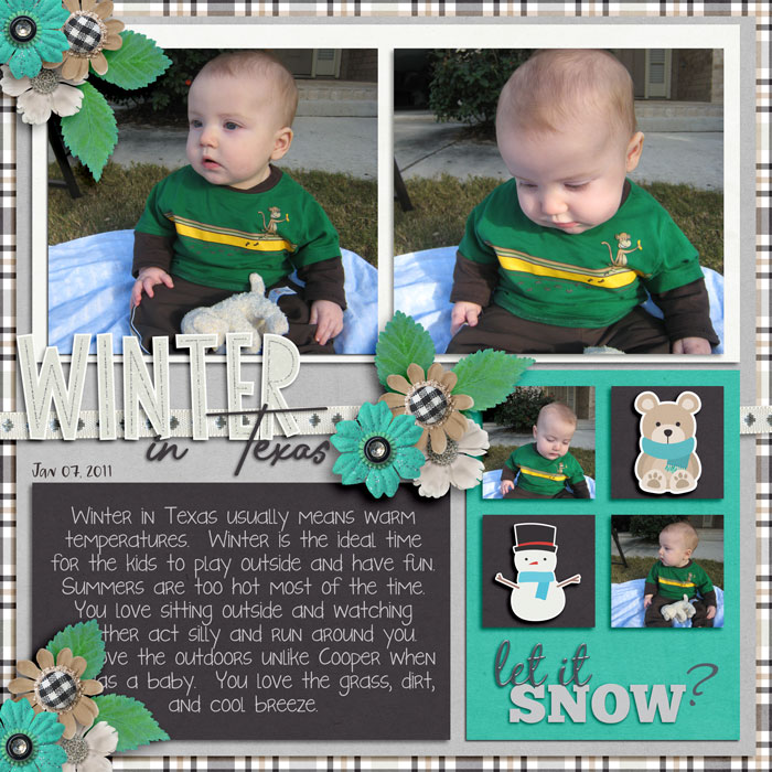 Winter in Texas 2011