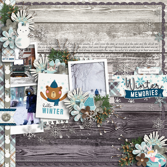Winter Memories