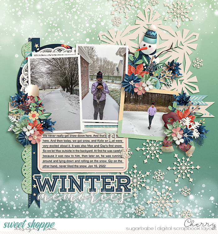 Winter Memories