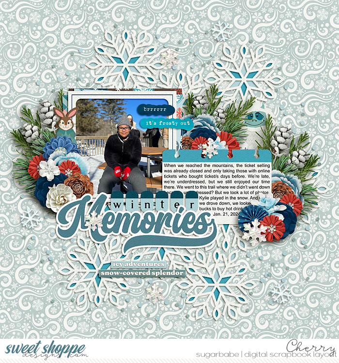 Winter Memories