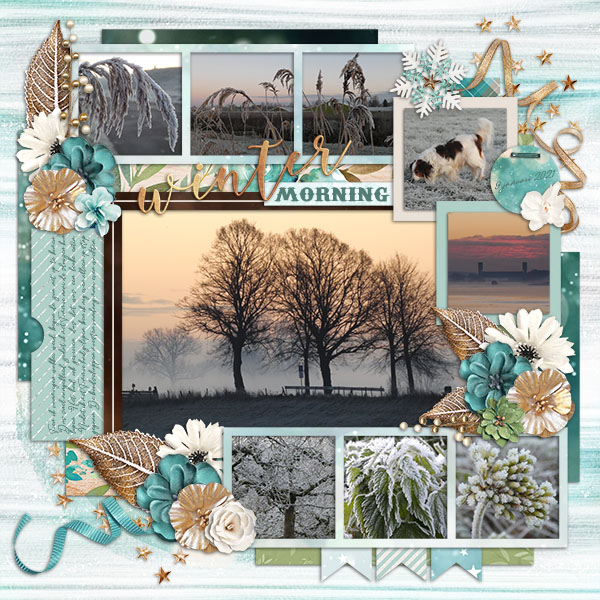 Winter Morning
