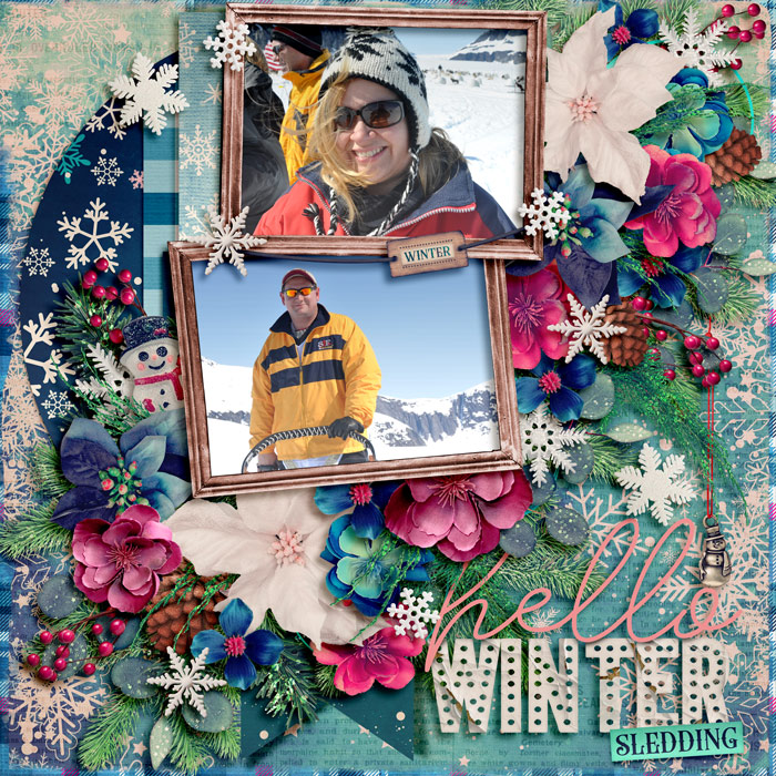 winter sledding