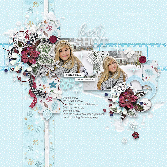 Winter Snapshots