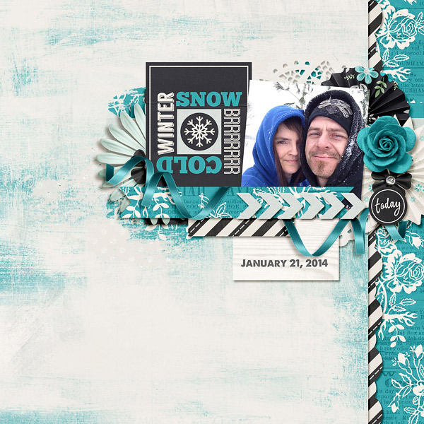 Winter Snow