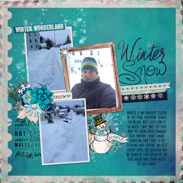 Winter Snow