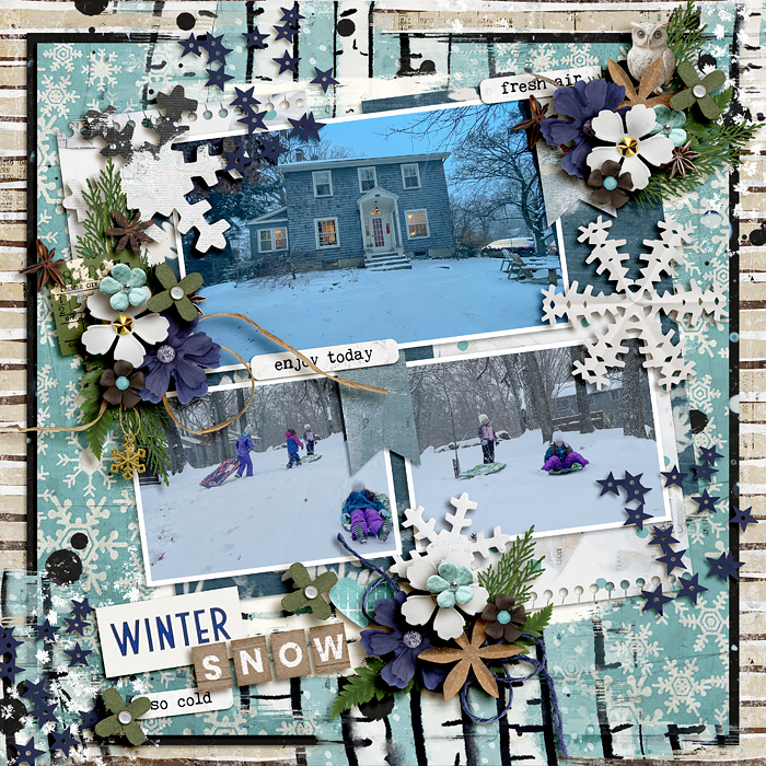 Winter snow