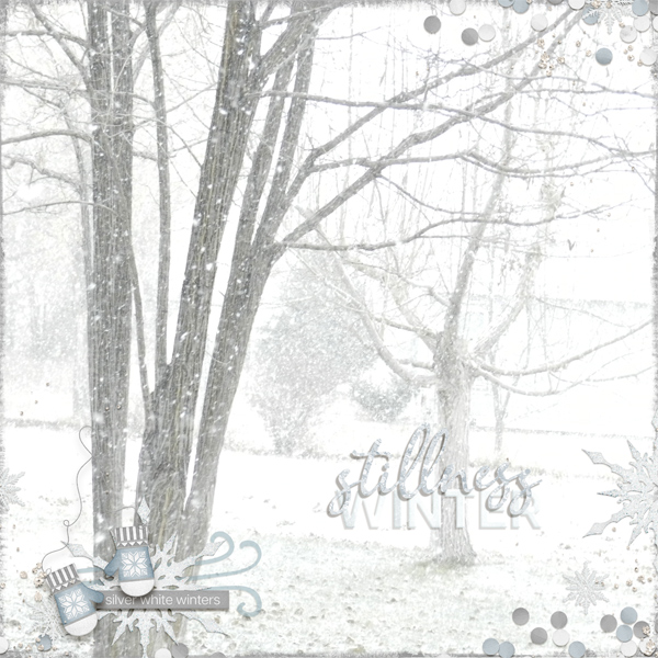 Winter Stillness