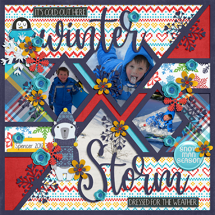 Winter Storm