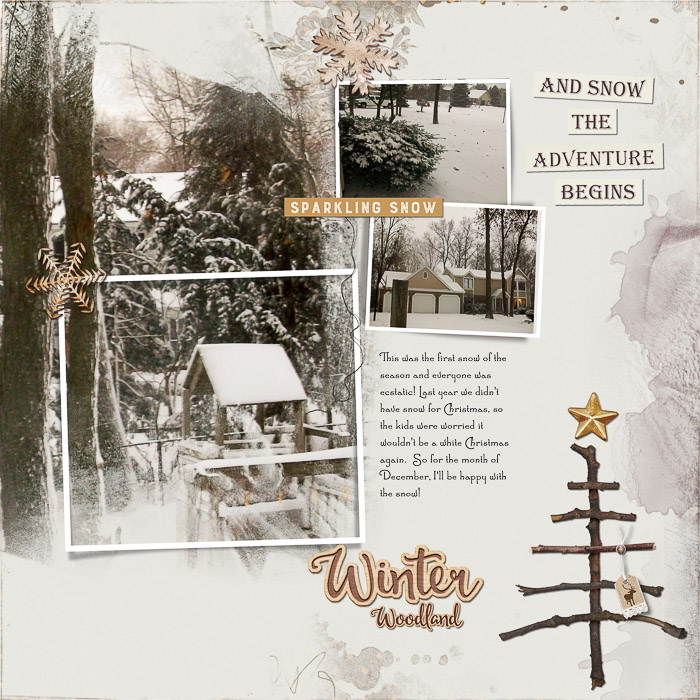 Winter Surprise