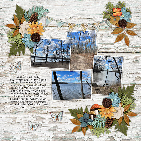 winter walk 2