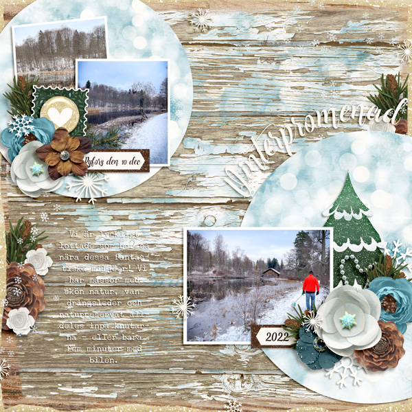Winter Walk in December