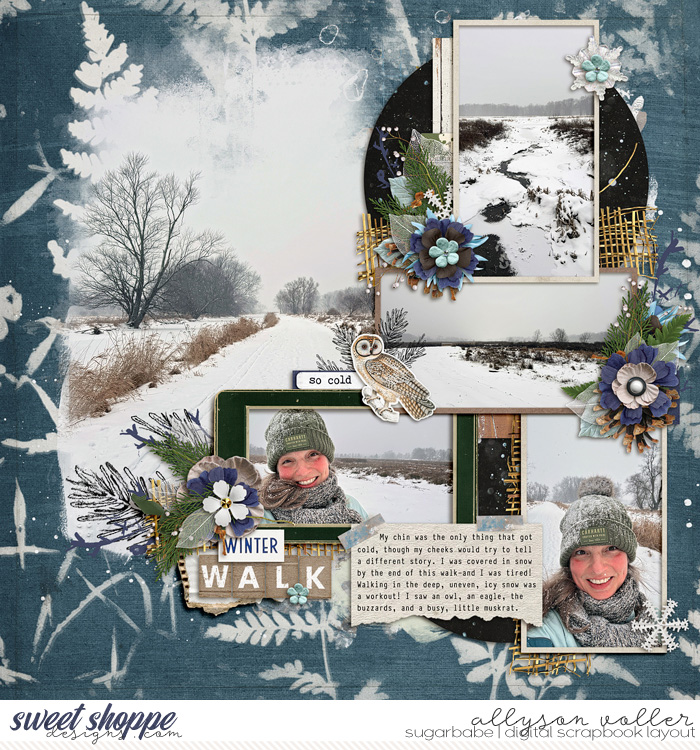 Winter Walk