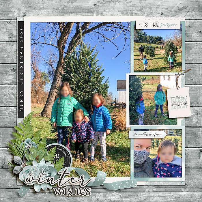 Winter wishes