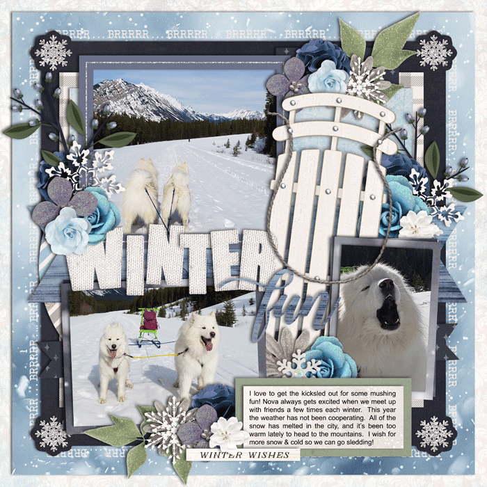 Winter Wishes