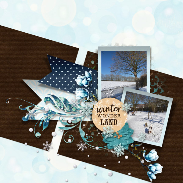 Winter Wonder Land