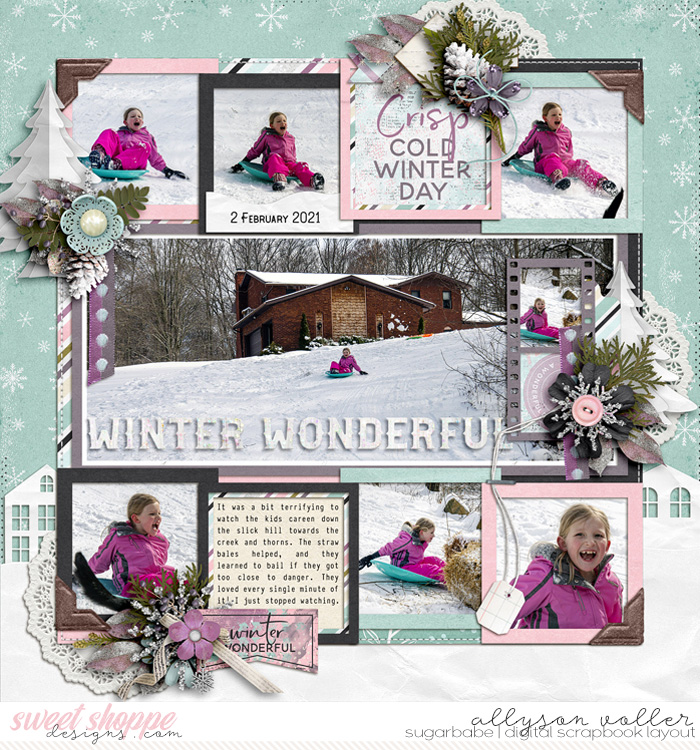 Winter Wonderful