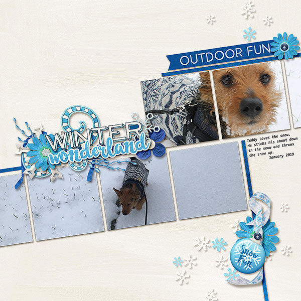 Winter Wonderland - Teddy