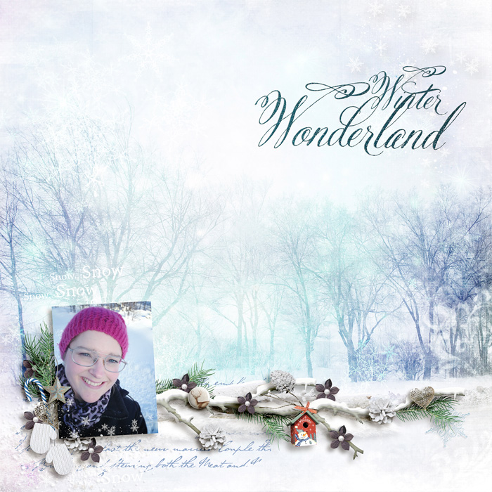 Winter Wonderland