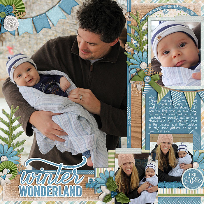 Winter Wonderland