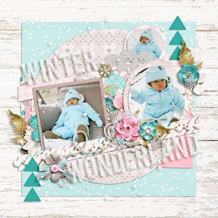 winter wonderland