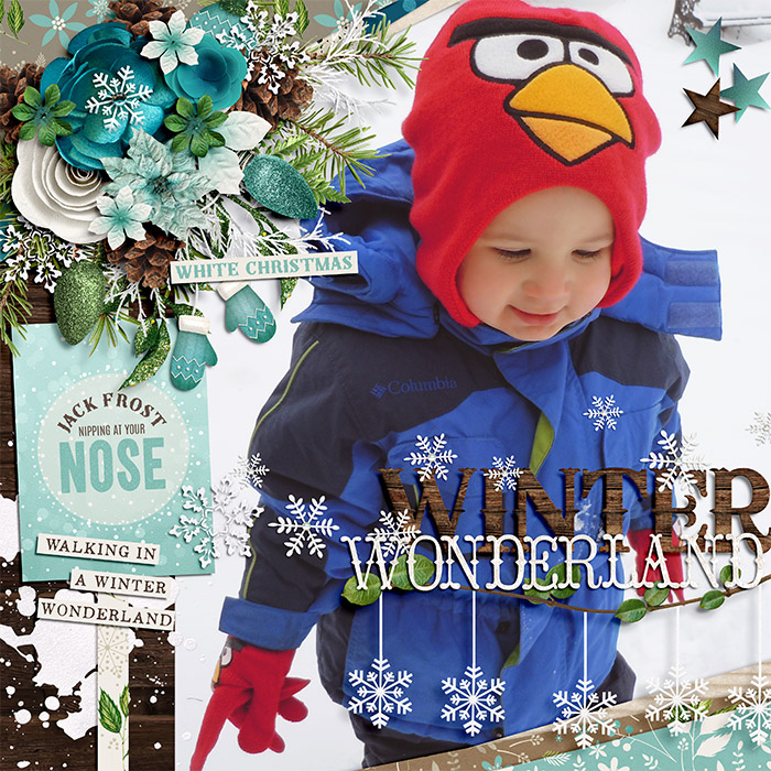 Winter Wonderland