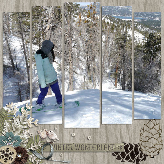 Winter Wonderland