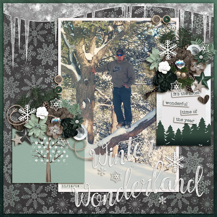 Winter Wonderland