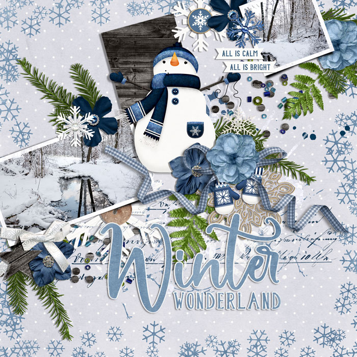 winter wonderland