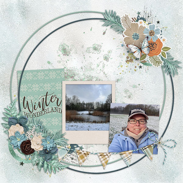 Winter Wonderland