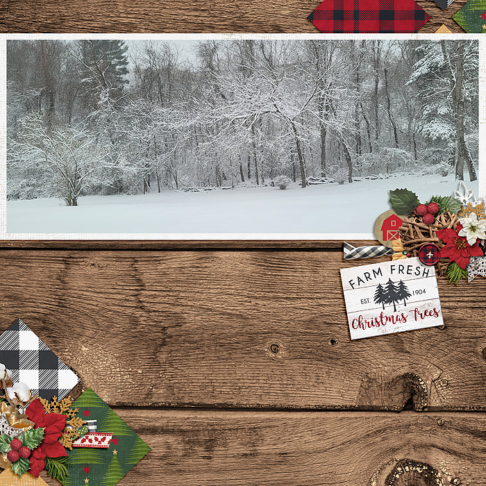 Winter Wonderland