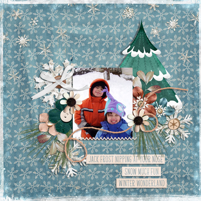 winter wonderland