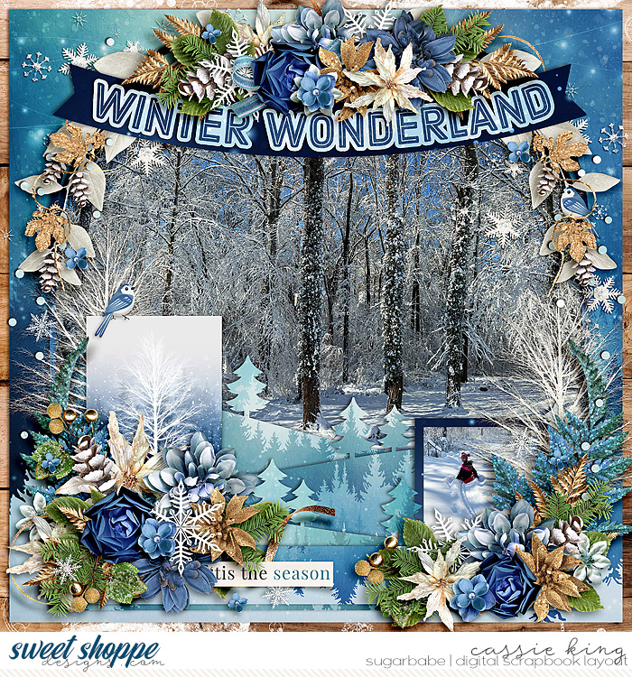 Winter Wonderland