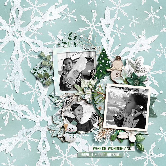 Winter Wonderland