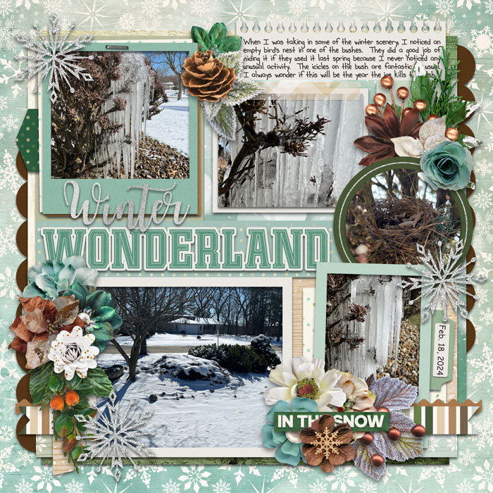 Winter Wonderland