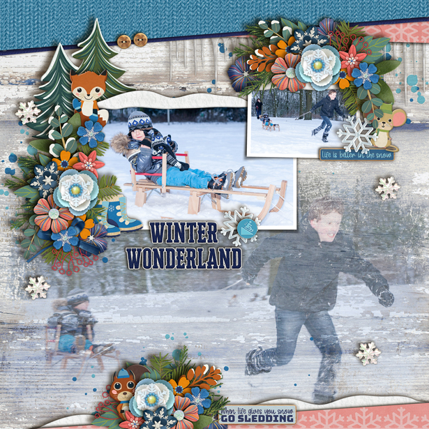 Winter Wonderland